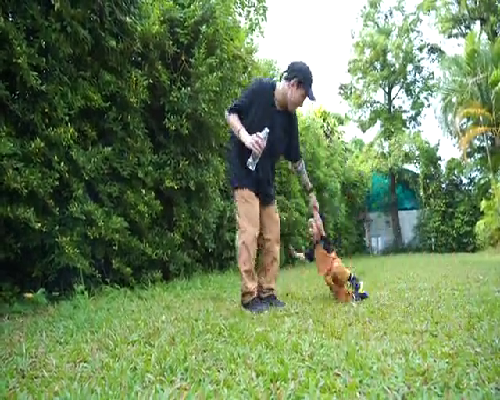 北京供卵代怀咨询，2026北京试管婴儿排名前三的医院有哪些？北京试管医院介