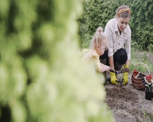 50岁自卵试管成功案例，做试管取了9个卵成功率大吗结婚9年试管8年，3次取卵