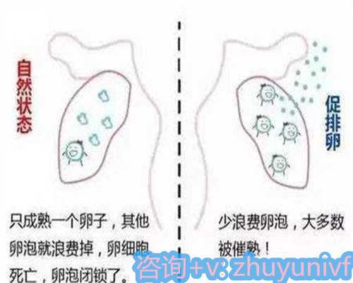 北京哪家医院可以供卵?