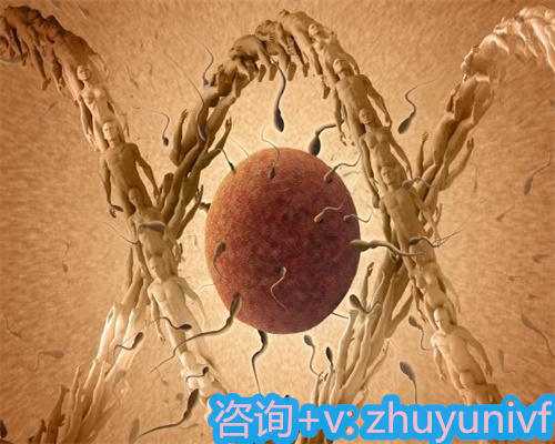 北京有正规的供卵试管机构吗？靠谱的试管医院有哪些？ 北京供卵收费吗