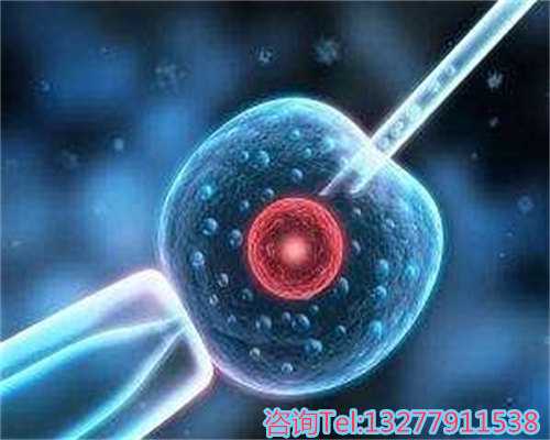 北京试管婴儿可以要龙凤胎吗