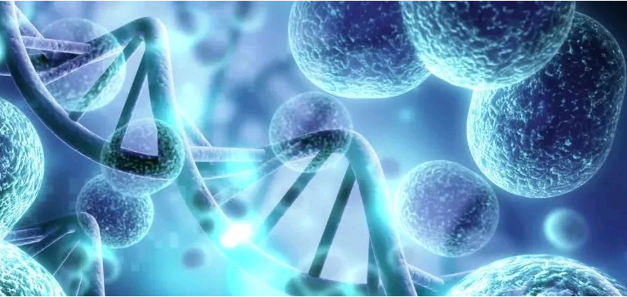 北京助孕价格,让不育问题不再成为困扰