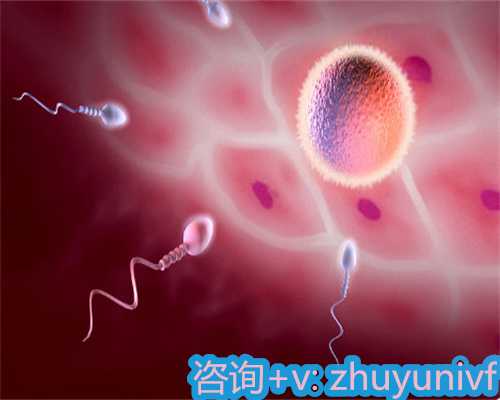 <b>2026北京失独家庭做试管婴儿最新优惠政策</b>