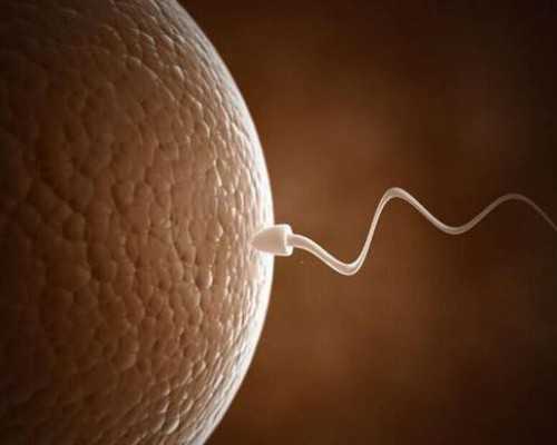 【北京能做供卵试管的医院】只有自身营养充足，宝宝才能更好的吸收，长得才