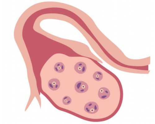 【异地生子】外地人在北京生孩子需要什么手续及证件 北京靠谱借腹生子机构