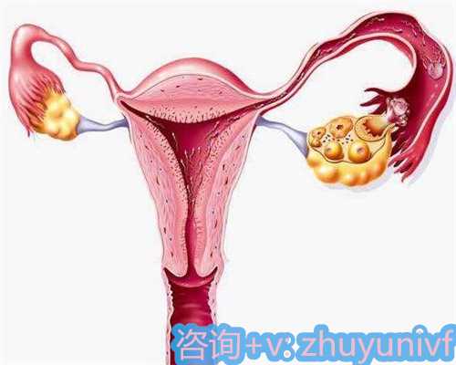 北京做试管婴儿费用是多少 北京助孕费用和成功率