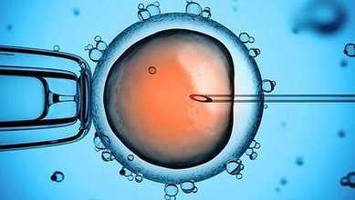 试管婴儿促排卵会真的导致卵巢早衰吗？促排卵方案不得不知