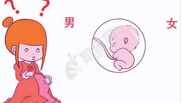 北京试管婴儿医院试管流程是怎么样的