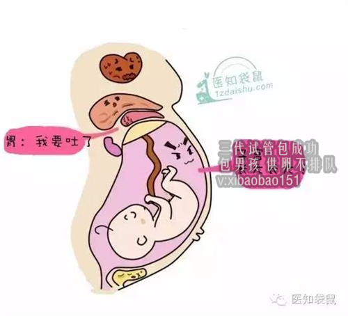 北京借卵代生机构,5女性卵泡发育不良的原因